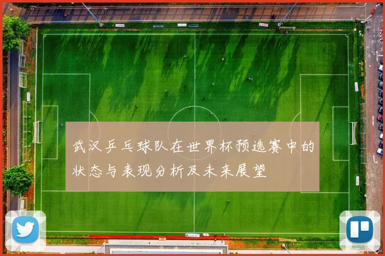 武汉乒乓球队在世界杯预选赛中的状态与表现分析及未来展望