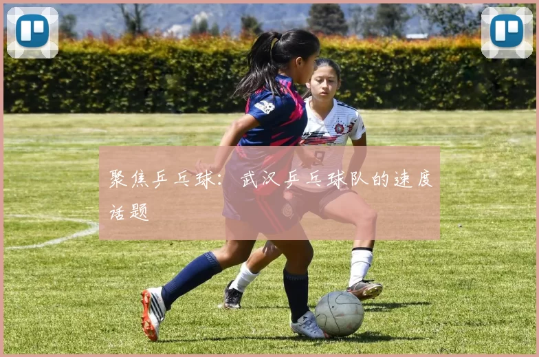 聚焦乒乓球：武汉乒乓球队的速度话题