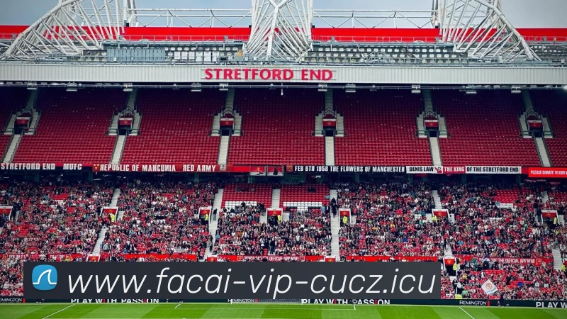 MK体育APP 封面图